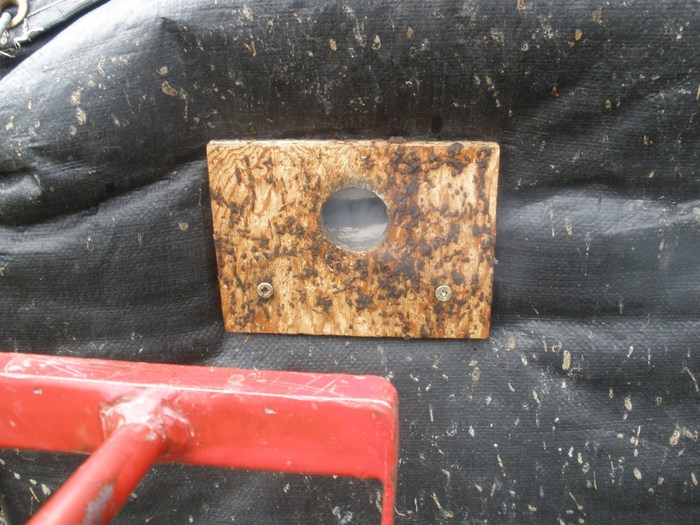 PA250287 - tratament oxalic acid