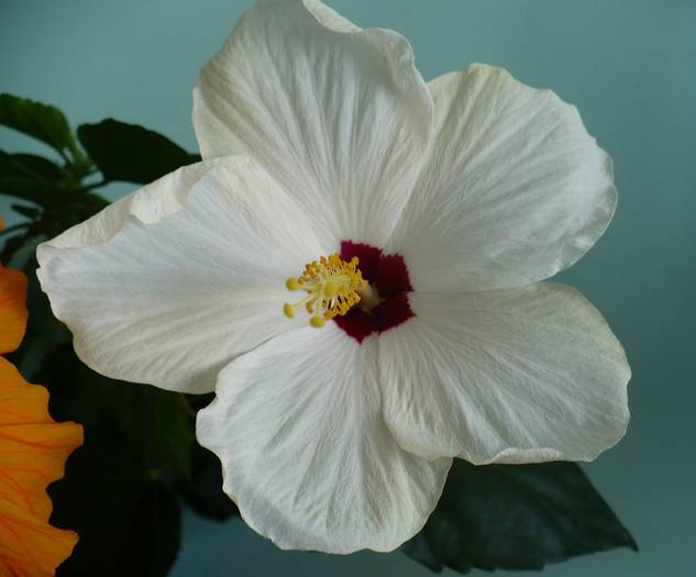P1110433