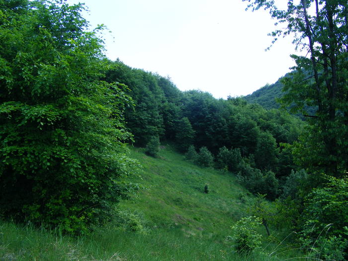 DSCF1081