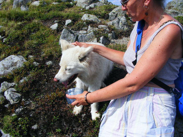 DSCF4438 - 2 august 2009 Traseu Suior Secatura Creasta Cocosului Gutaiul Doamnei  Vf Gutai