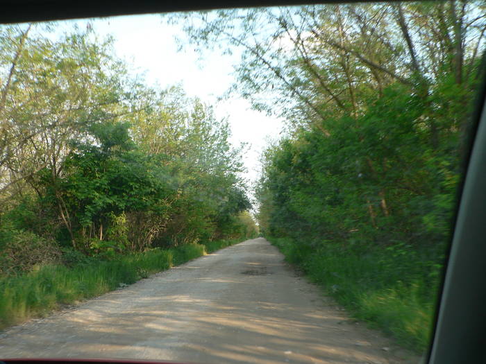 P1040921