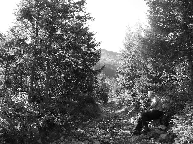 DSCF6454 - muntii Rodnei