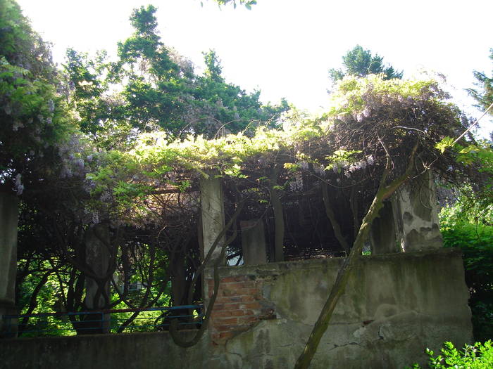 DSC07223