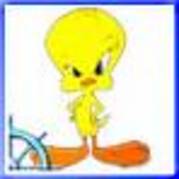 images[33] - Tweety