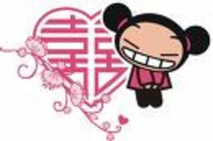 imagesCATG8708 - pucca