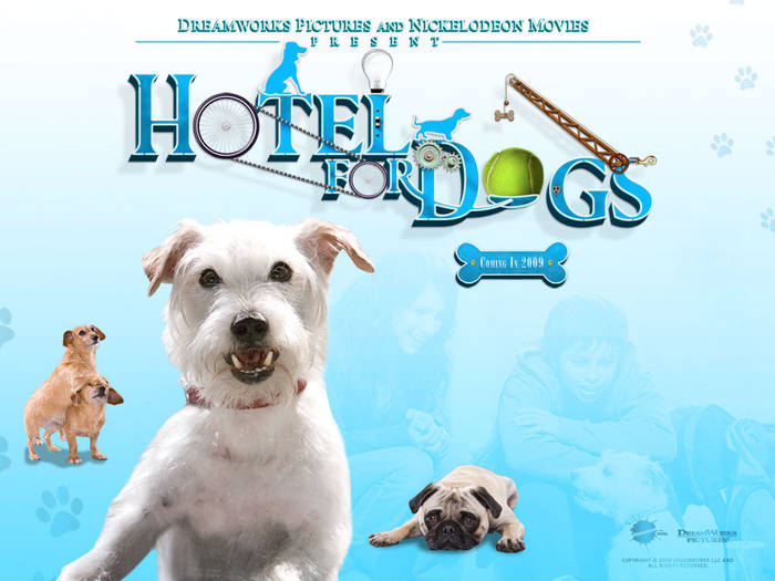 hotel-for-dogs-2-1024 - Hotel for dogs