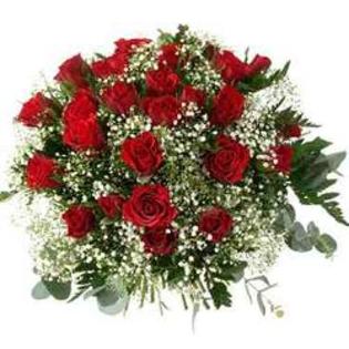 Trandafiri-Iarta-ma-poza-t-P-n-d_284[1] - Flori
