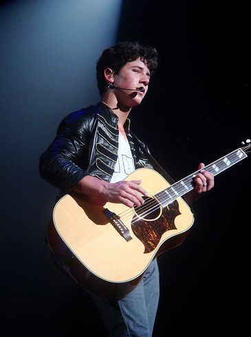 World-Tour-2009-nick-jonas-8378163-365-490 - Nick in diverse concerte