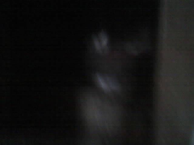 Glateana pe oua