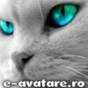 avatare_gratuite_3999309124932c296ca27d9.96428658 - Animalute dragute