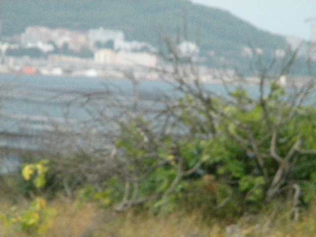 DSCN1577