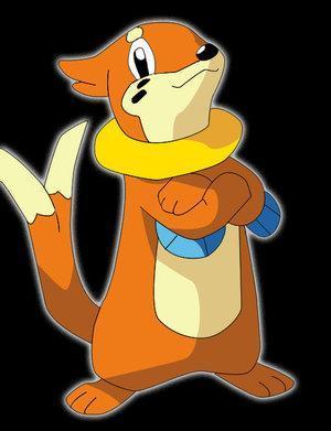 Buizel