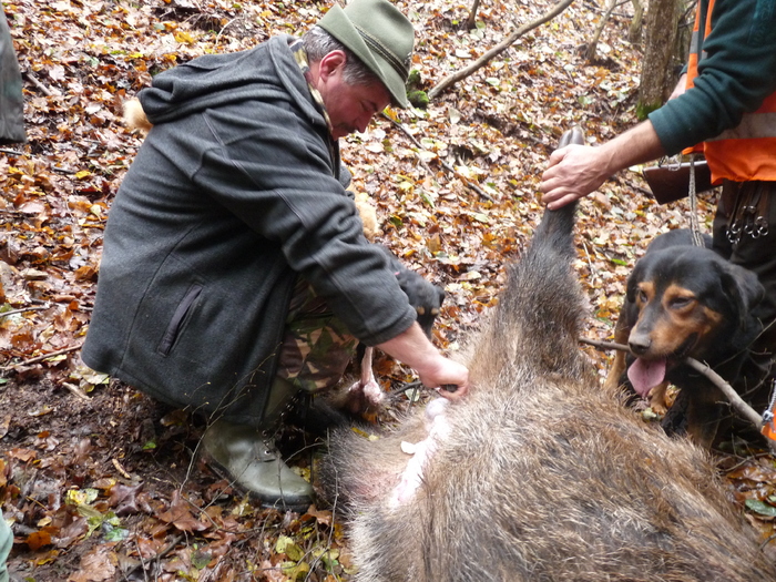 P1210688 - 2009-2010 Stolna Cluj