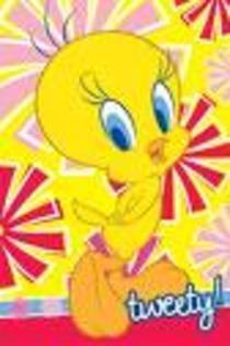 rasfatatul - tweety