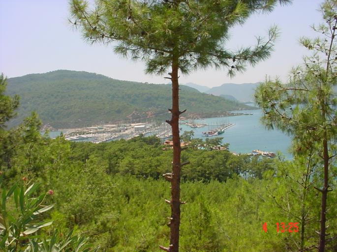 DSC03460