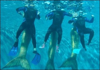 3920009900a5381807854leq2