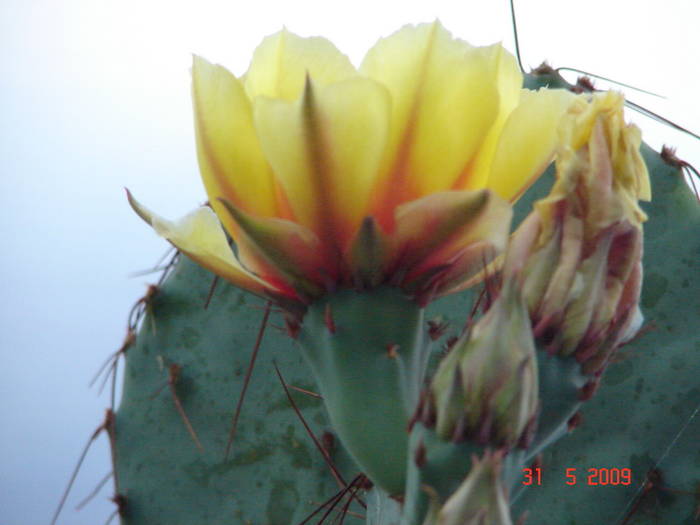 DSC05949