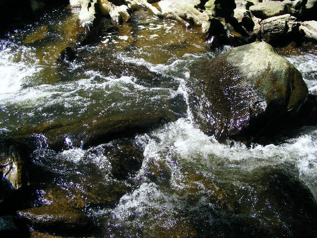 DSCF5243