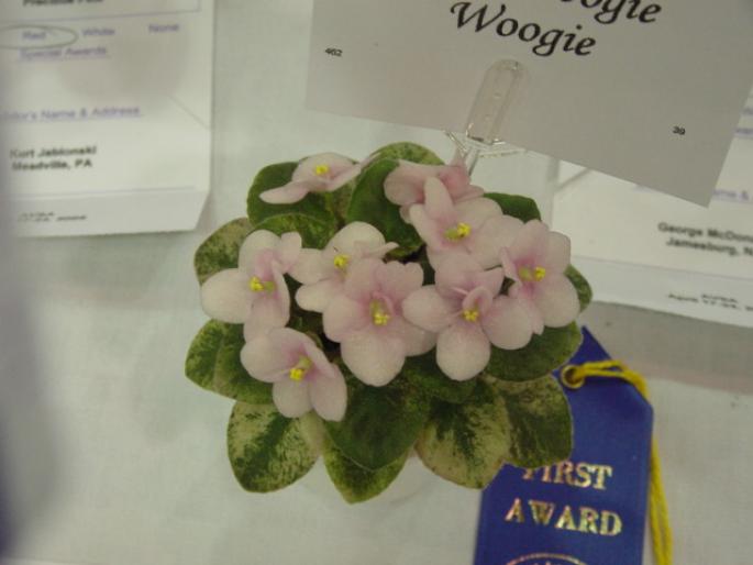 Robs_Boogie_Woogie_2005avsa_2 - violete de pe net 1