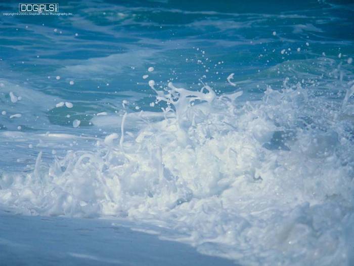 Beach, North Shore, Hawaii - poze muuuuuuuuuuuuuulte