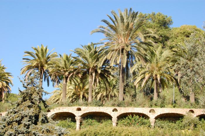 Picture 336 - Parc Guell