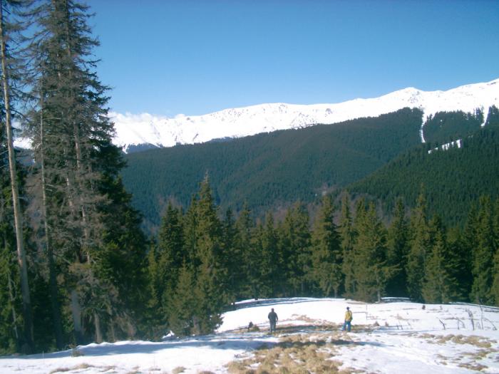 04120087 - Iezer-Papusa