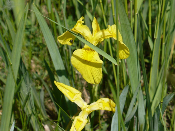 P1110948