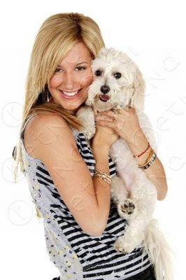 normal_lq032 - Ashley Tisdale