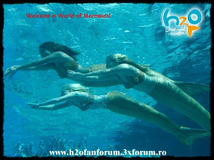 wallpaper_h2o_swimming_1024-1 - H2O