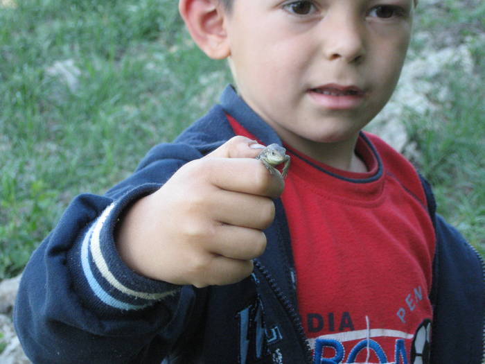 IMG_3504 - salcim I si II 2009