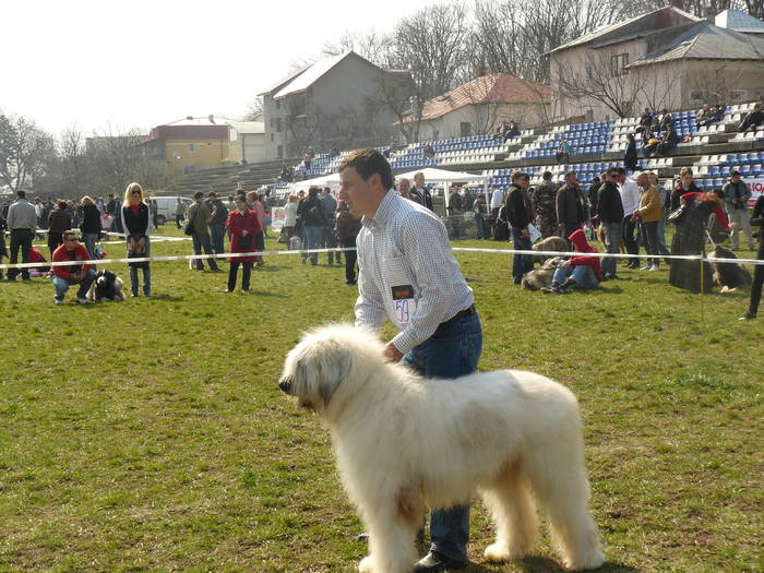 Cac Iasi 009