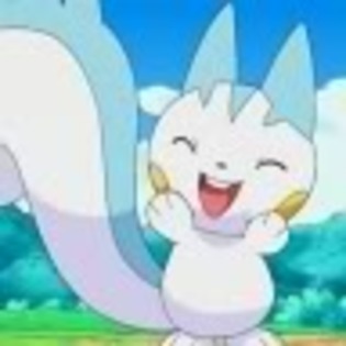 Pachirisu rade