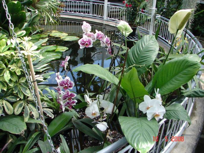 DSC03137