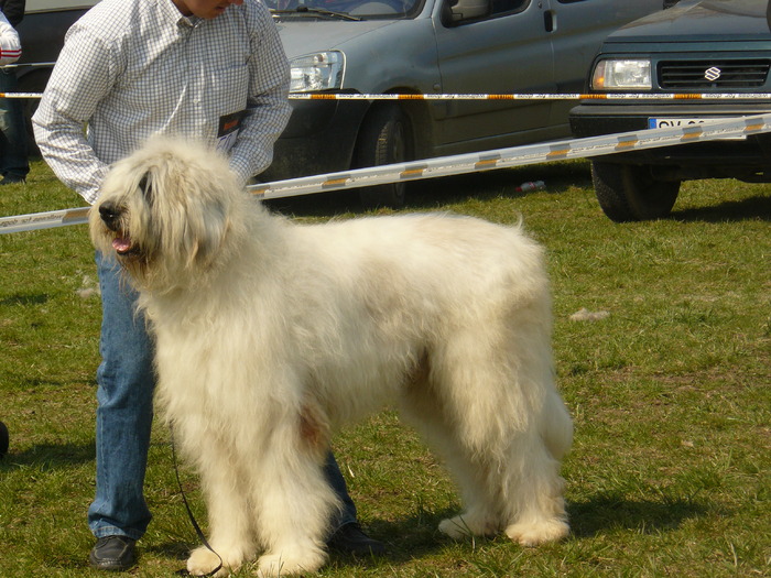 Cac Iasi 022