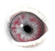 IFCTRSLSWXIYNCFRMXD - OCHII PORUMBEILOR