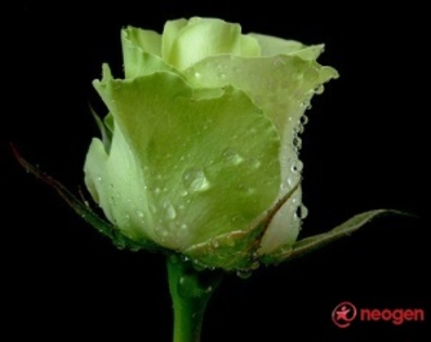 d743c184_0050000836413_00_600