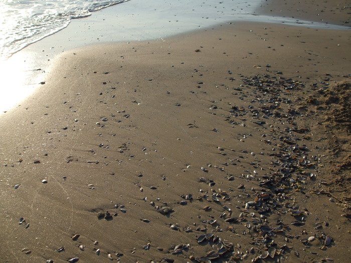 nisipul ...vesnic agitat de valuri - La Marea Neagră