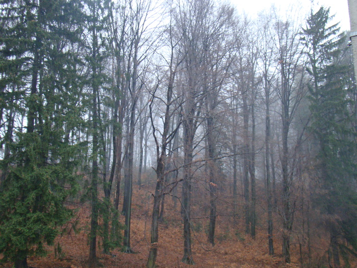 DSC00940
