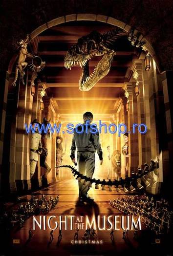 Night at the Museum(o noapte la muzeu)2007