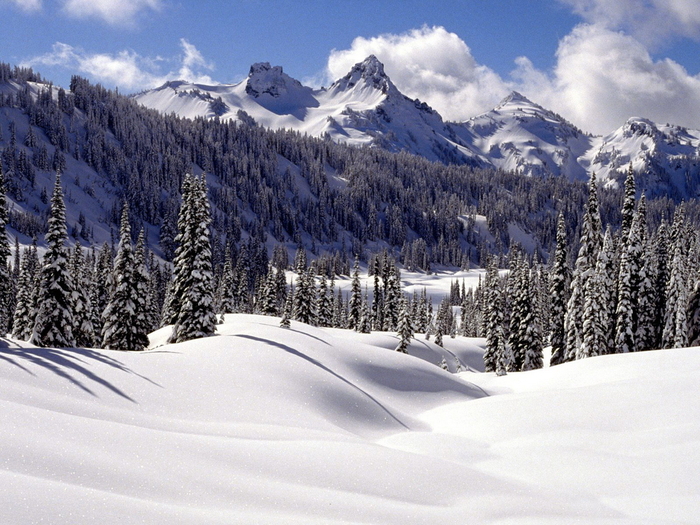Christmas Wallpapers (648)