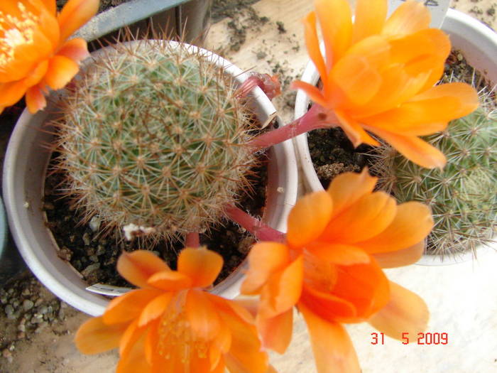 DSC05909