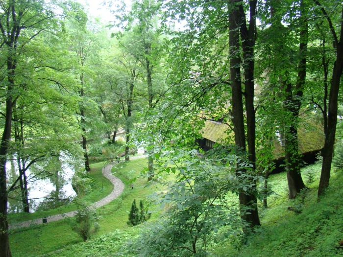 DSC02053 - Concediu 2008