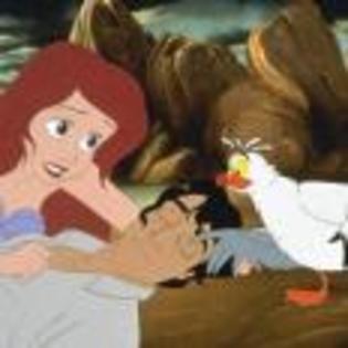 The-Little-Mermaid-1194346261 - The Little Mermaid