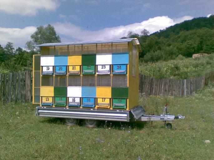 Copy (2) of 23072008(001)