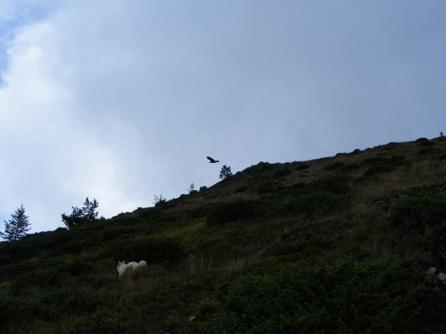 DSCF3056