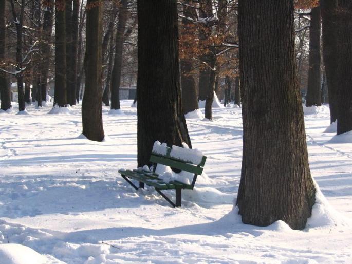 iarna, in parc - prin oras