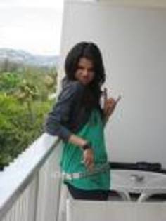 fan 6 selena