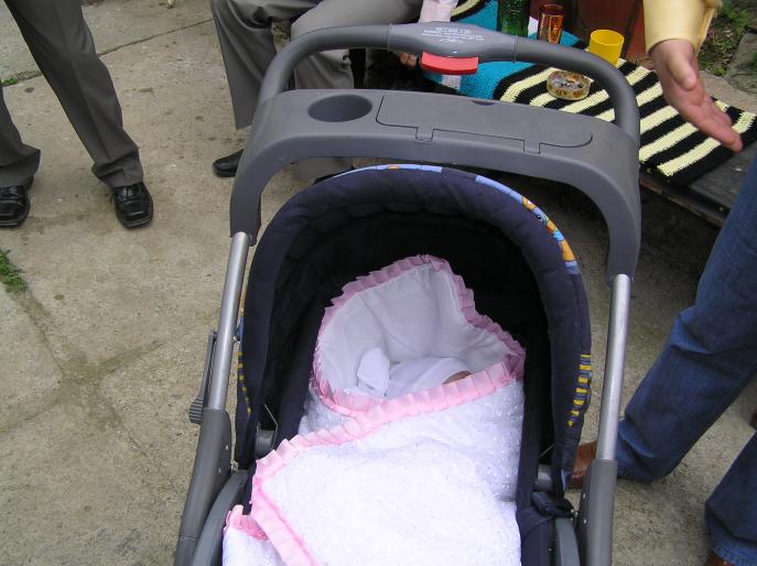 P5314714 - puiul meu