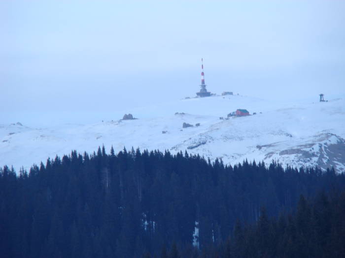 DSC01207 - Bucegi - Valea Izvorul Dorului-Padina