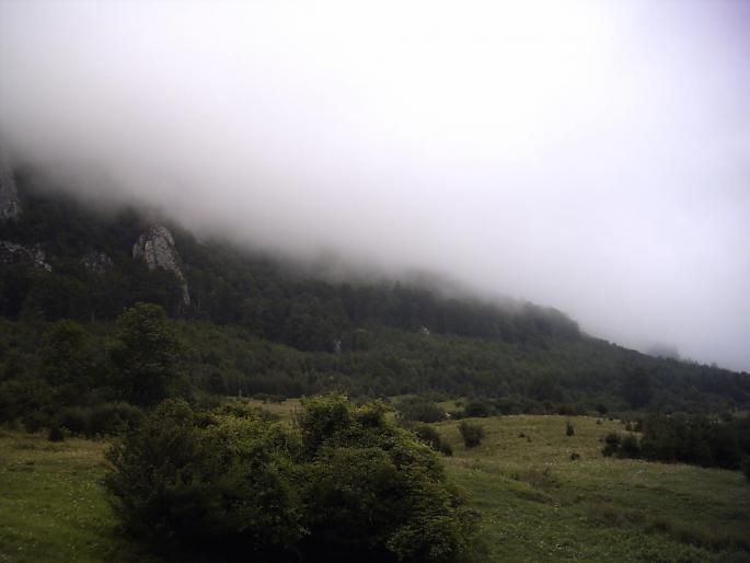 PICT0255